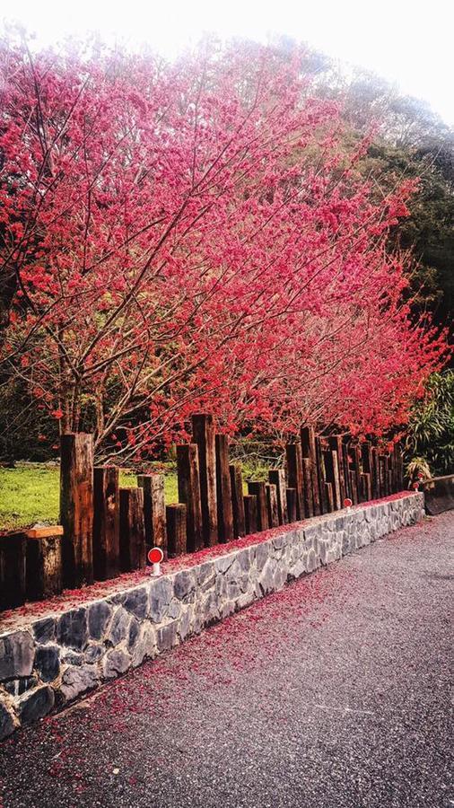 Taroko Formosa Homestay Xiulin Luaran gambar