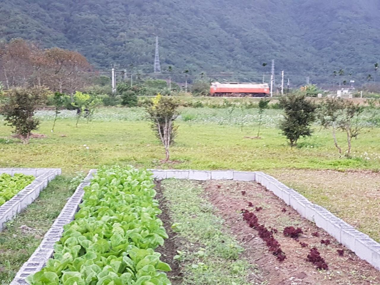 Taroko Formosa Homestay Xiulin Luaran gambar